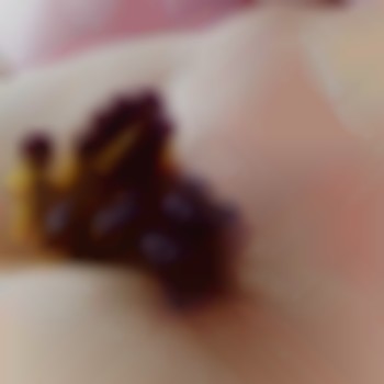 Ольга Селістрян, Николаев Фото - 19