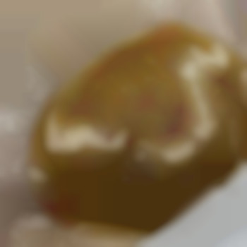 Галина Андрієнко, Харьков Фото - 6