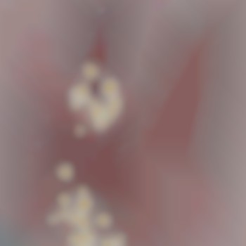 Інтимний Пірсинг
                    Салон красоты Імперія краси Кременчуг