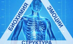 Відновлення без болю та стресу, авторська методика Массажист Сергей Киев