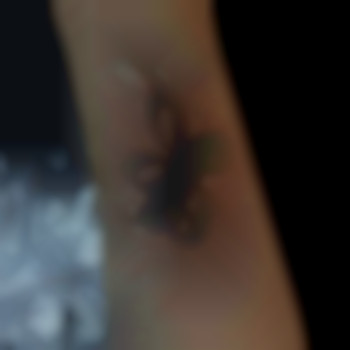 Знак перо, фото - тату мастер