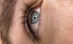 Перманентний макіяж Бровист  Ровно