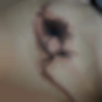 Фото из портфолио мастера  (тату мастер, Житомир)