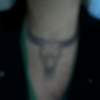 череп, на груди, бык, буйвол