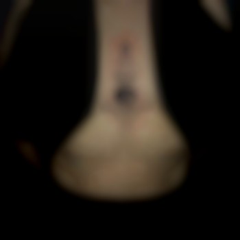 Ксения Васюкович, Днепр Фото - 16