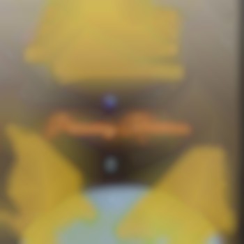 Интимний жіночий пірсинг Крістіна