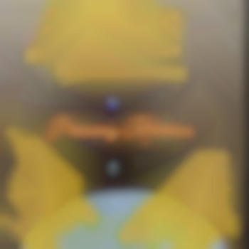 Интимный женский пирсинг «Кристина», фото - мастер по пирсингу Татьяна Ананьева