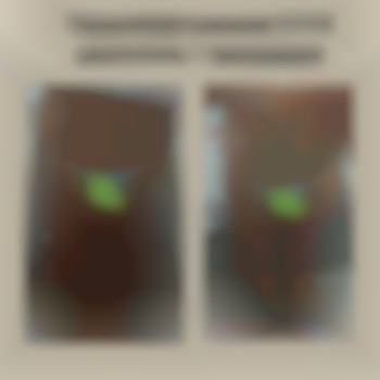 Надежда Квятковская , Кривой Рог Фото - 2