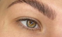 Ламінування брів Бровіст Елена Біла Церква