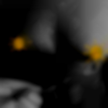 Фото з портфоліо майстра Яна Томашук (фотограф, Київ)