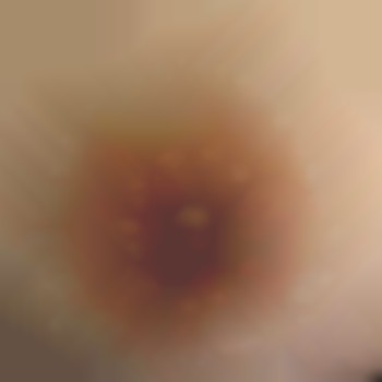 Анна Манжос, Київ Фото - 26