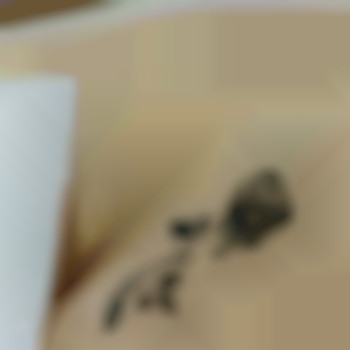 Бікіні +блиск-тату