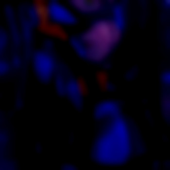 Андрей Халемонець, Кривий Ріг Фото - 45