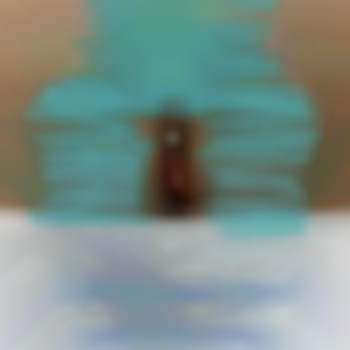 Вертикальный прокол капюшона клитора