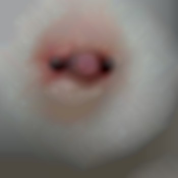 Пірсинг сосків
                    Тату майстер Ірина Вінниця