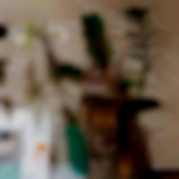 Марки з якими я працюю, і любима киця?