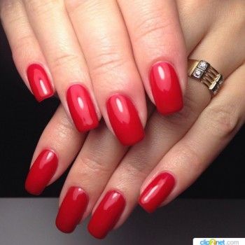 Фото с портфолио Модное место