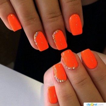 Фото с портфолио Модное место