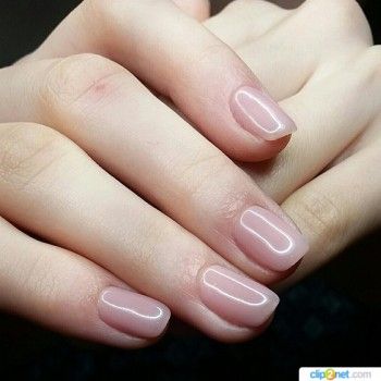 Покрытие гель лаком Reforma
                    Салон красоты Hello Beauty Харьков