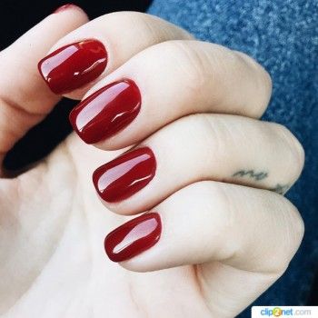 Фото с портфолио Ten's