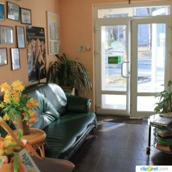 Нарцисс, Днепр Фото - 8