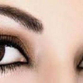 Фото с портфолио Salon de Provence