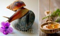 Массаж улитками ахатинами Салон красоты ZEBRA Днепр