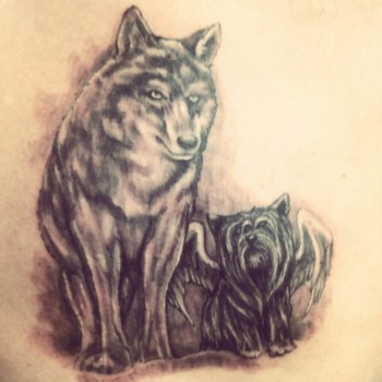 Тату волк черно-белые собака, фото - Тату салон TattooArt