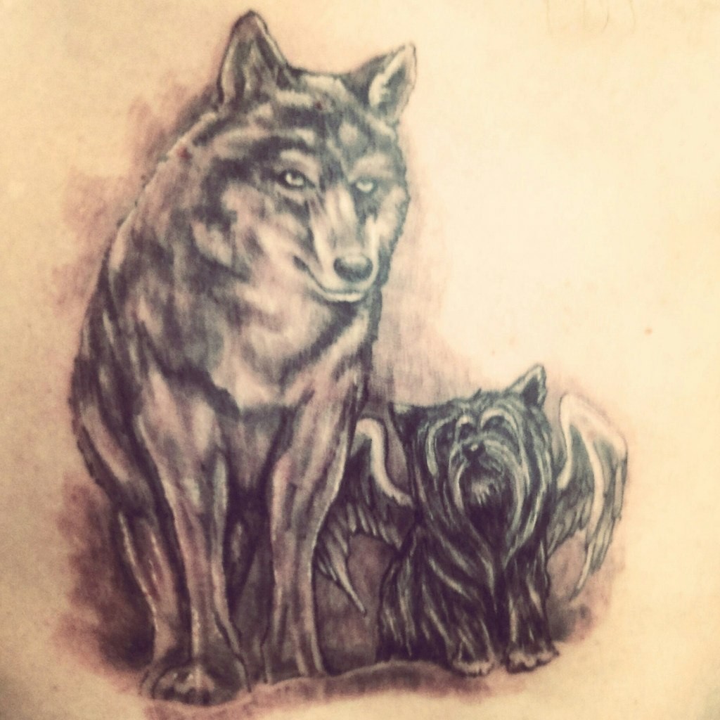 Вовк чорно-білі собака, фото - Тату салон TattooArt