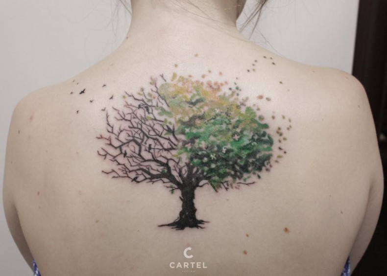 Женские цветные на спине, фото - Тату салон Cartel Tattoo