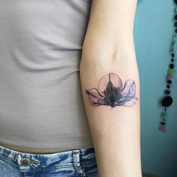 Дарья Шишкина , Одесса Фото - 9