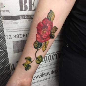 Дарья Шишкина , Одесса Фото - 13