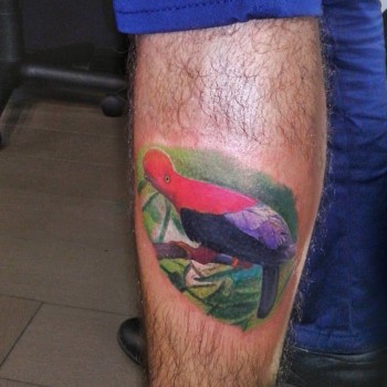 Тату мужские на ноге цветные, фото -  Дима Кучеренко