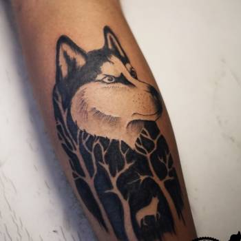 Тату для хлопців вовк на руці, фото - Тату майстер Александр Космос