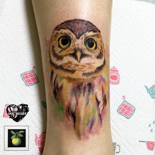 Для дівчат кольорові сова, фото -  Ink Heart