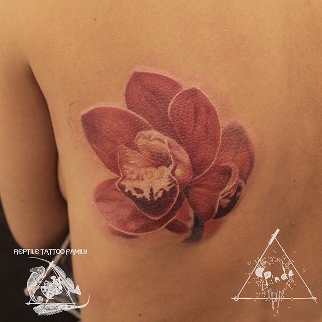 Для дівчат кольорові на спині, фото - Тату майстер Илья Фалин