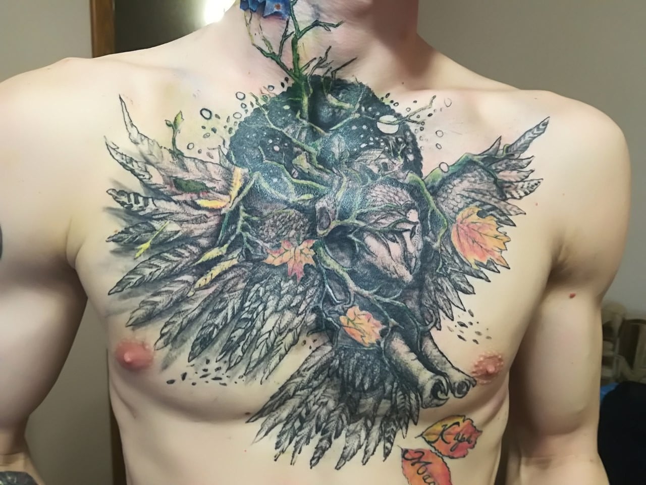 Мужские цветные сова, фото - Тату мастер Слава Пехтерев