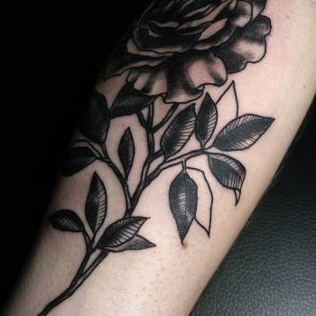 Фото с портфолио Осинская Екатерина 