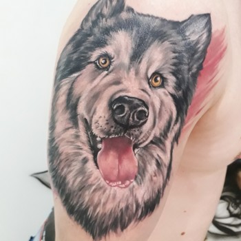 мужские, на плече, цветные, реализм, собака, black&grey