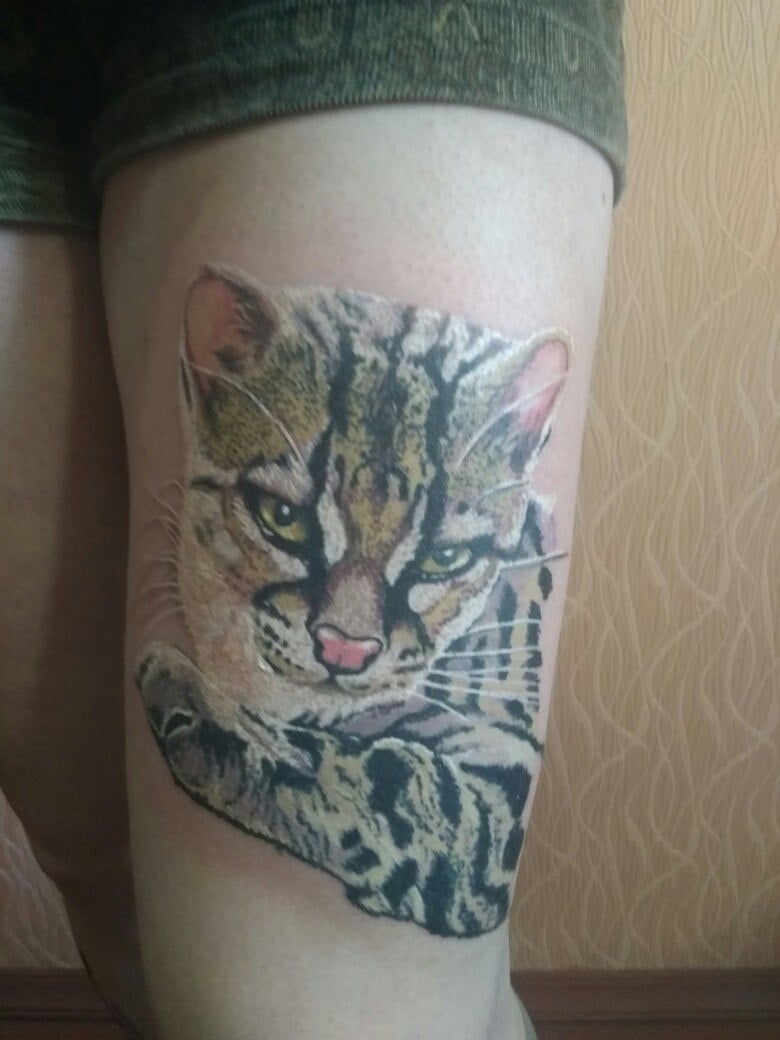 Для дівчат кольорові реалізм, фото - Тату майстер Николай Псарюк