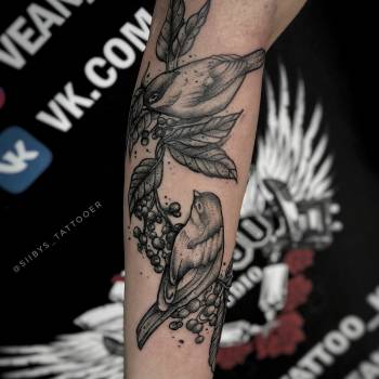 Тату Киев (tattoo Kiev)
                    Тату мастер Дмитрий Сладкий  Киев
