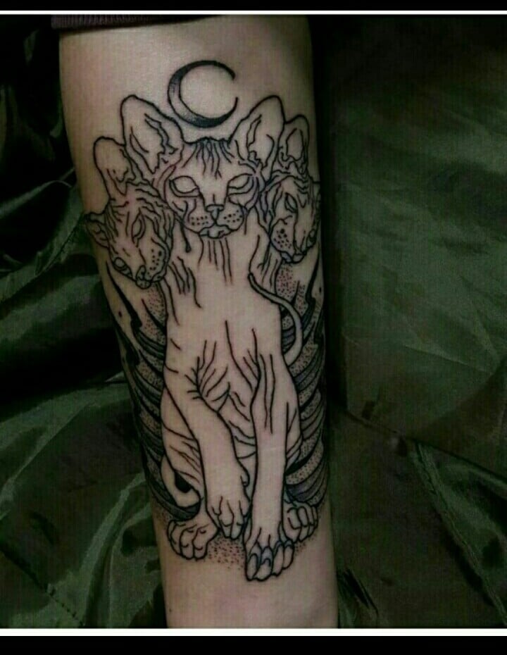 Черно-белые графика кошка, фото - Тату мастер Сергей Варпу