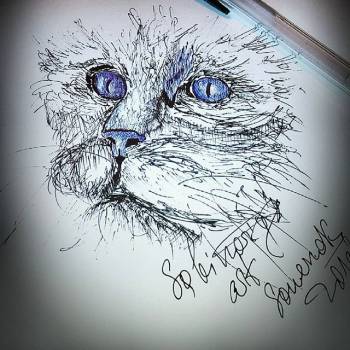 Sowenok , Київ Фото - 13