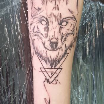 Фото с портфолио Тимур Цырюльников 