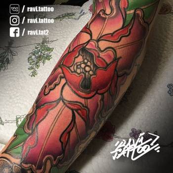 Фото с портфолио Влад Рави 