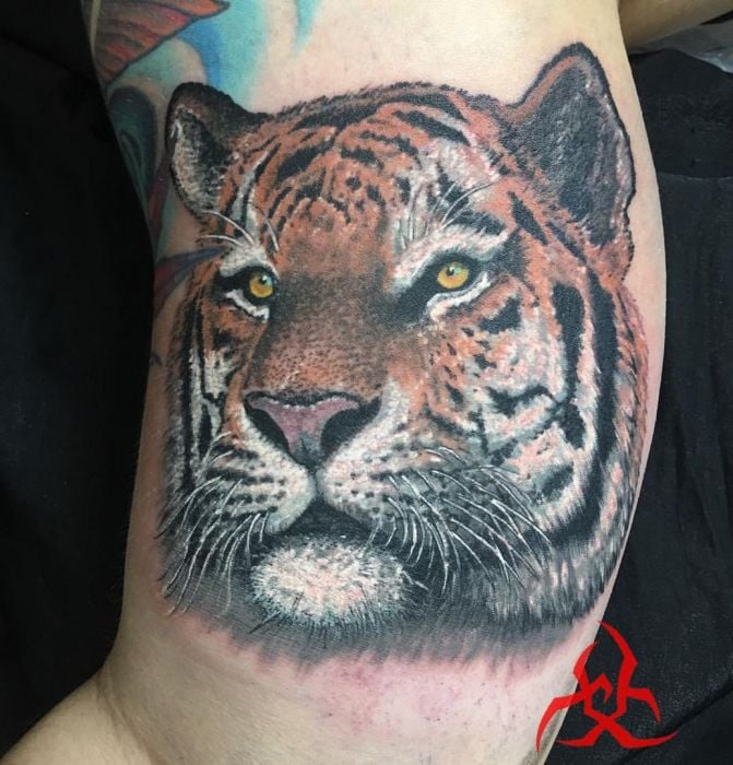 Для хлопців на плечі кольорові, фото - Тату майстер Константин Михальский