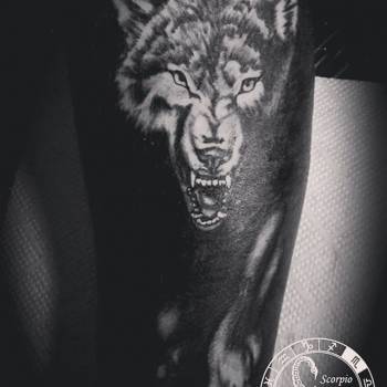 Артем Дрыга , Кривий Ріг Фото - 65