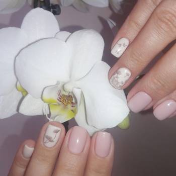 Светлана Власюк, Киев Фото - 14