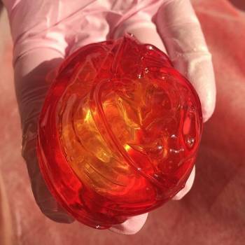 Фото с портфолио Екатерина Недосик 