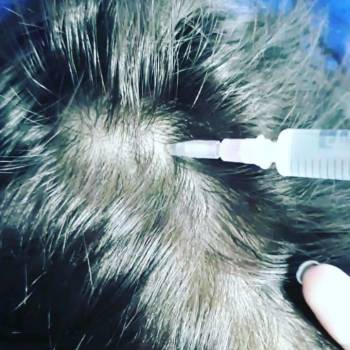 Фото с портфолио Лина 